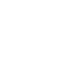 Google+ icon